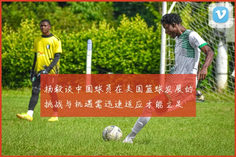 杨毅谈中国球员在美国篮球发展的挑战与机遇需迅速适应才能立足