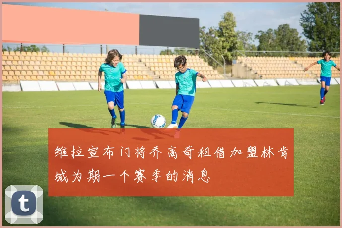 维拉宣布门将乔高奇租借加盟林肯城为期一个赛季的消息